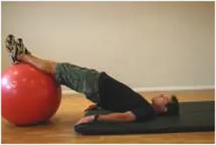 Bridge on a ball