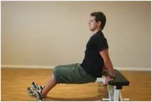 Bench dips