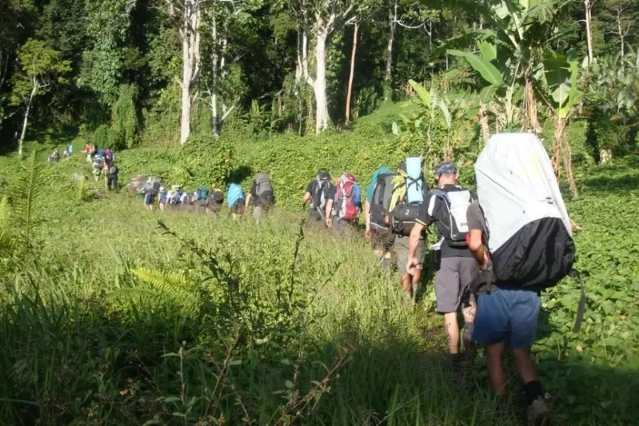 Trekkers in single file