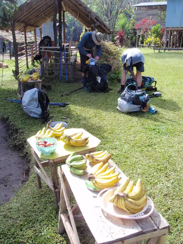 Fresh fruit