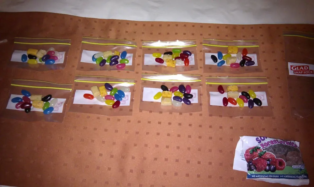 Daily snack bags laid out