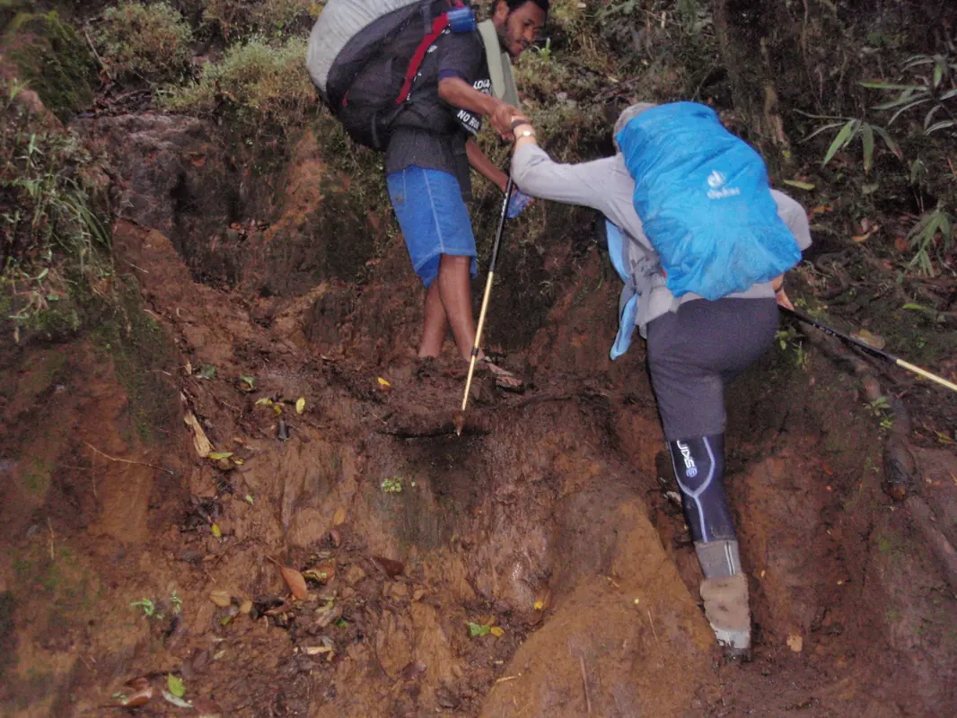 Trekkers climbing a muddy slope with trekking poles
