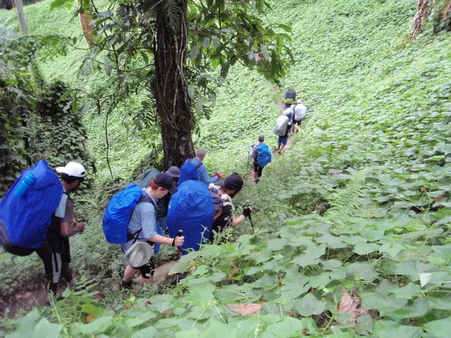 Climbing in single file