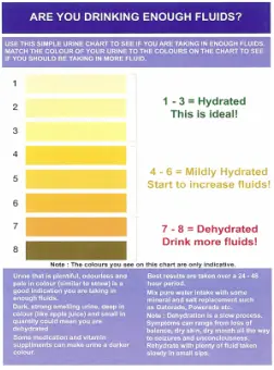 Are you drinking enough fluids?