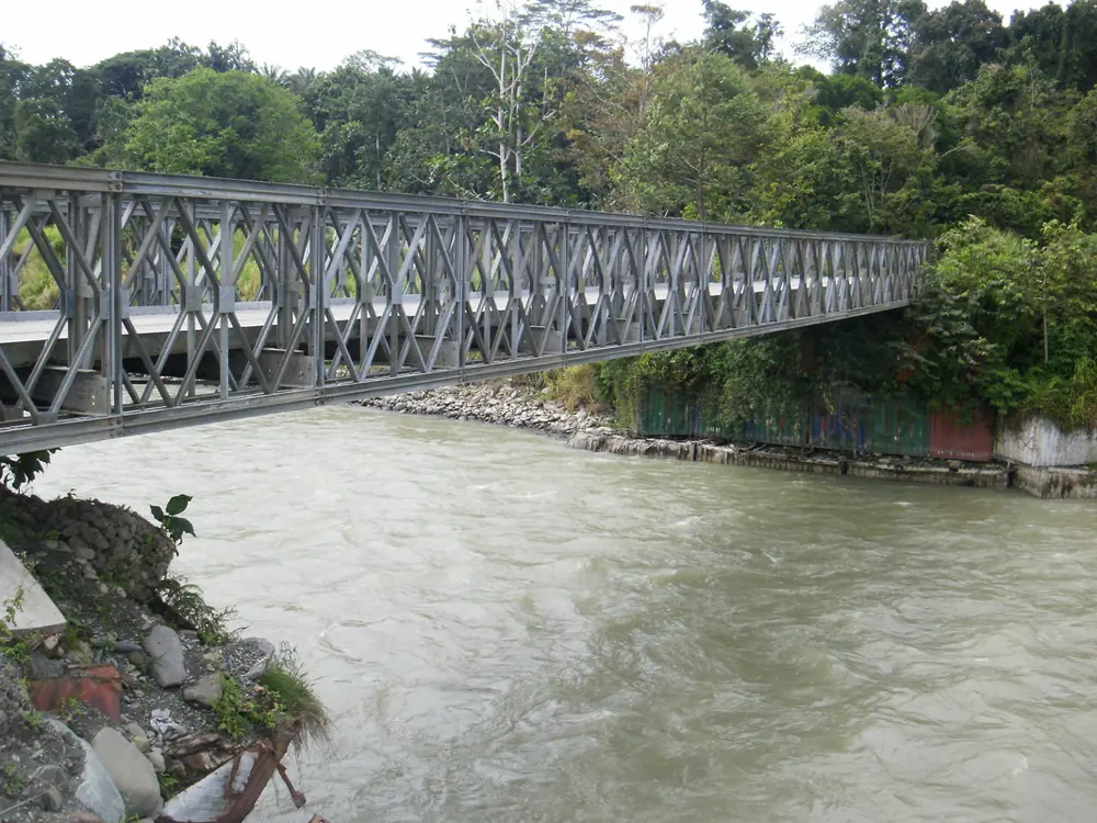 A log bridge on the Track