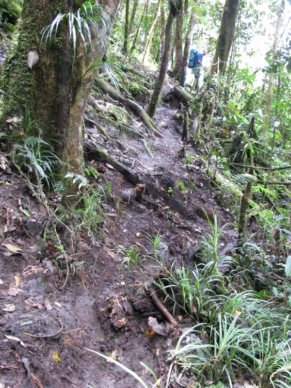 A steep slope on the Track