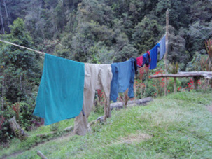 Clothing attempting to dry!