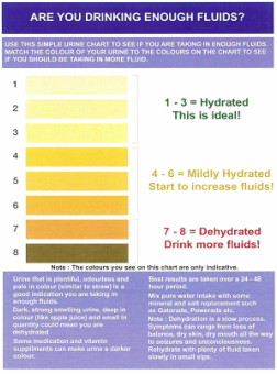 Hydration chart