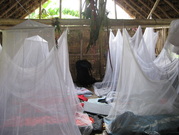 Mozzie nets in use in a guest house