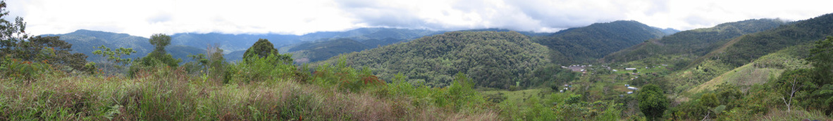 Views on the Kokoda Track