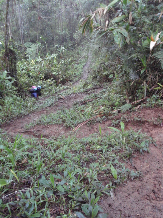 A muddy switchback down into Efogi Creek